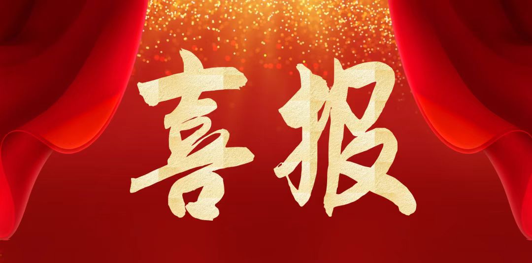 白姐全年正版王中王